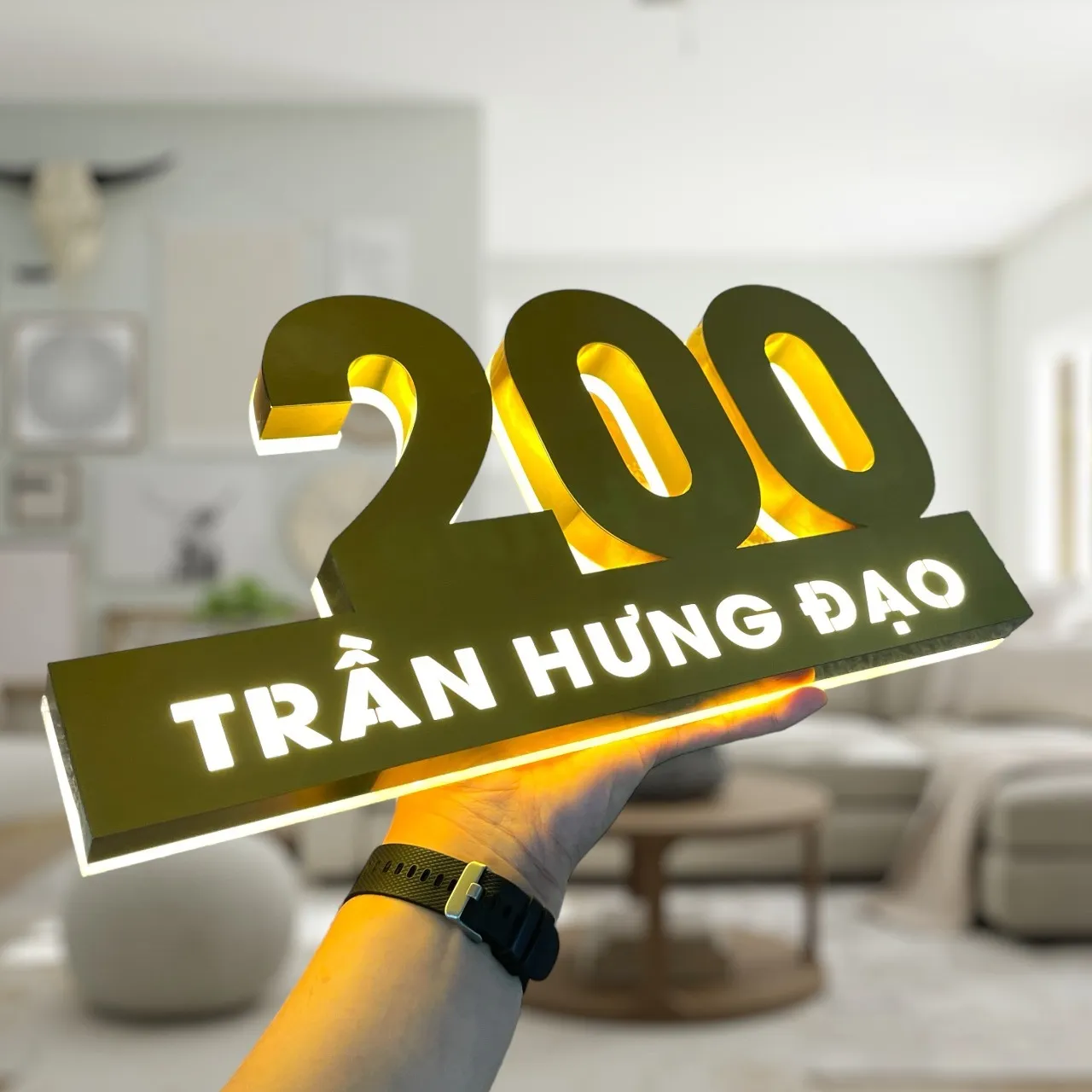 Bảng số nhà inox vàng PVD hairline mặt trước ban ngày thấy rõ texture vân chải