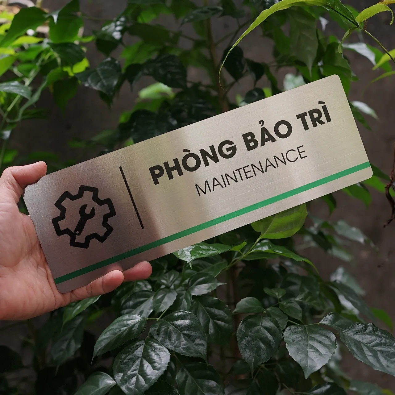 Góc nghiêng 45 độ bảng tên phòng inox brushed, thấy rõ sọc xanh lá và độ dày thực tế